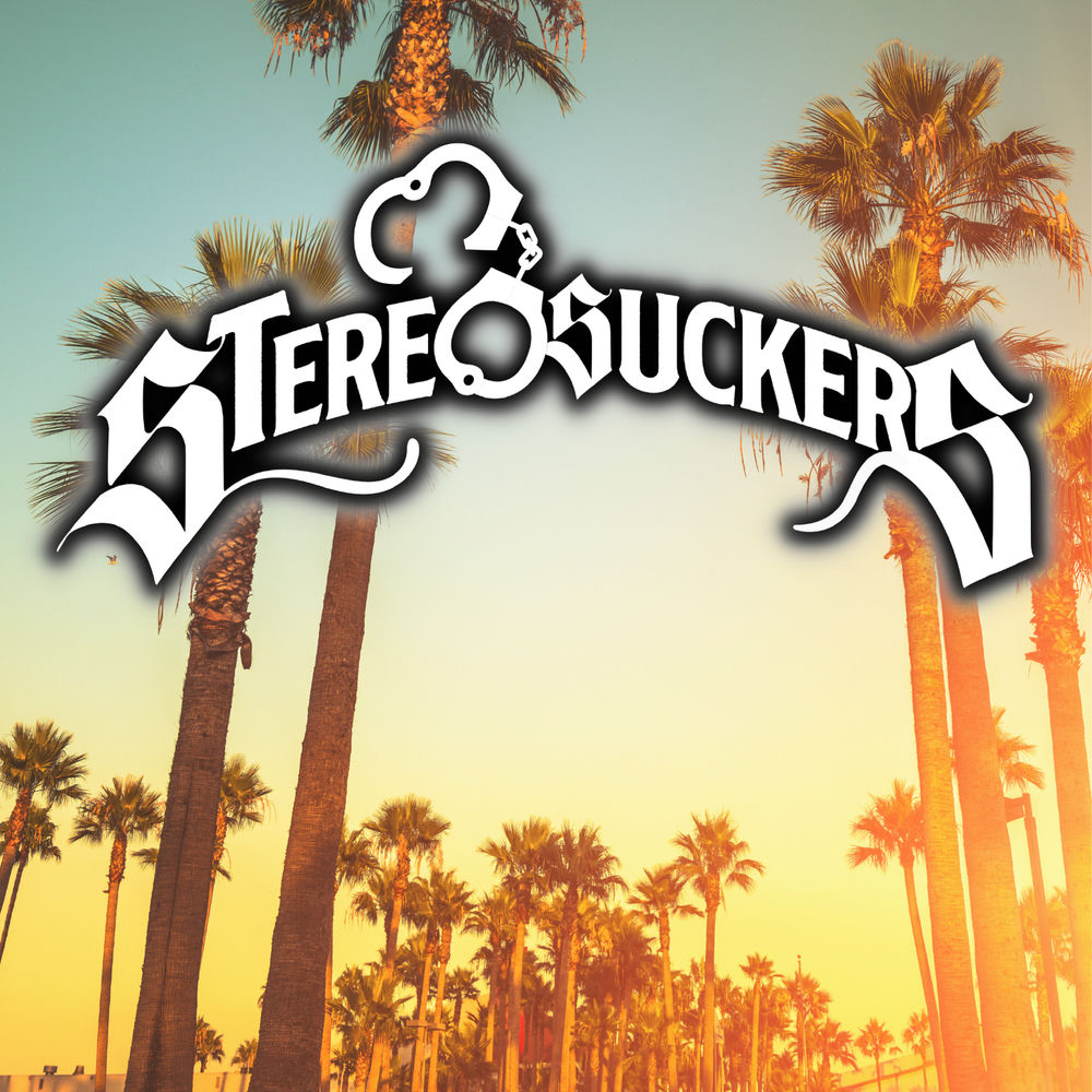 Photo de l'artiste Stereosuckers