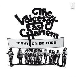 Picture of Voices Of East Harlem