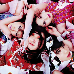 Picture of Otoboke Beaver