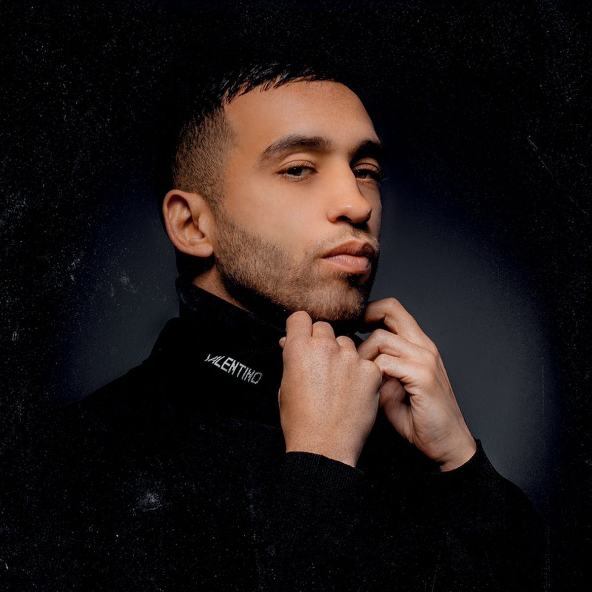 Artist picture of Mister you