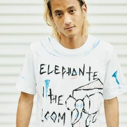 Picture of Elephante