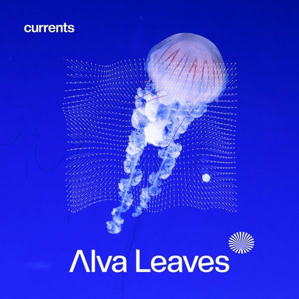 Artist picture of Alva Leaves
