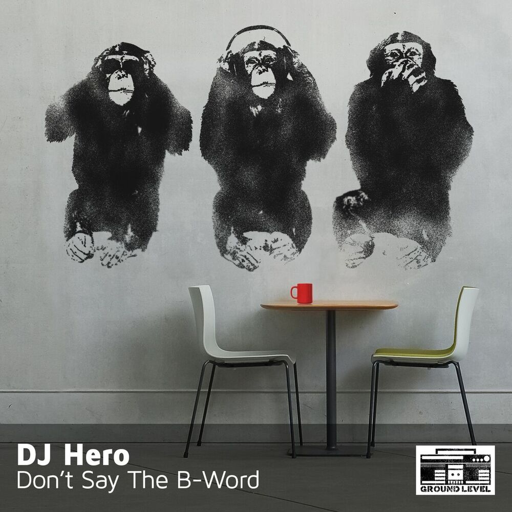 Picture of DJ HERO