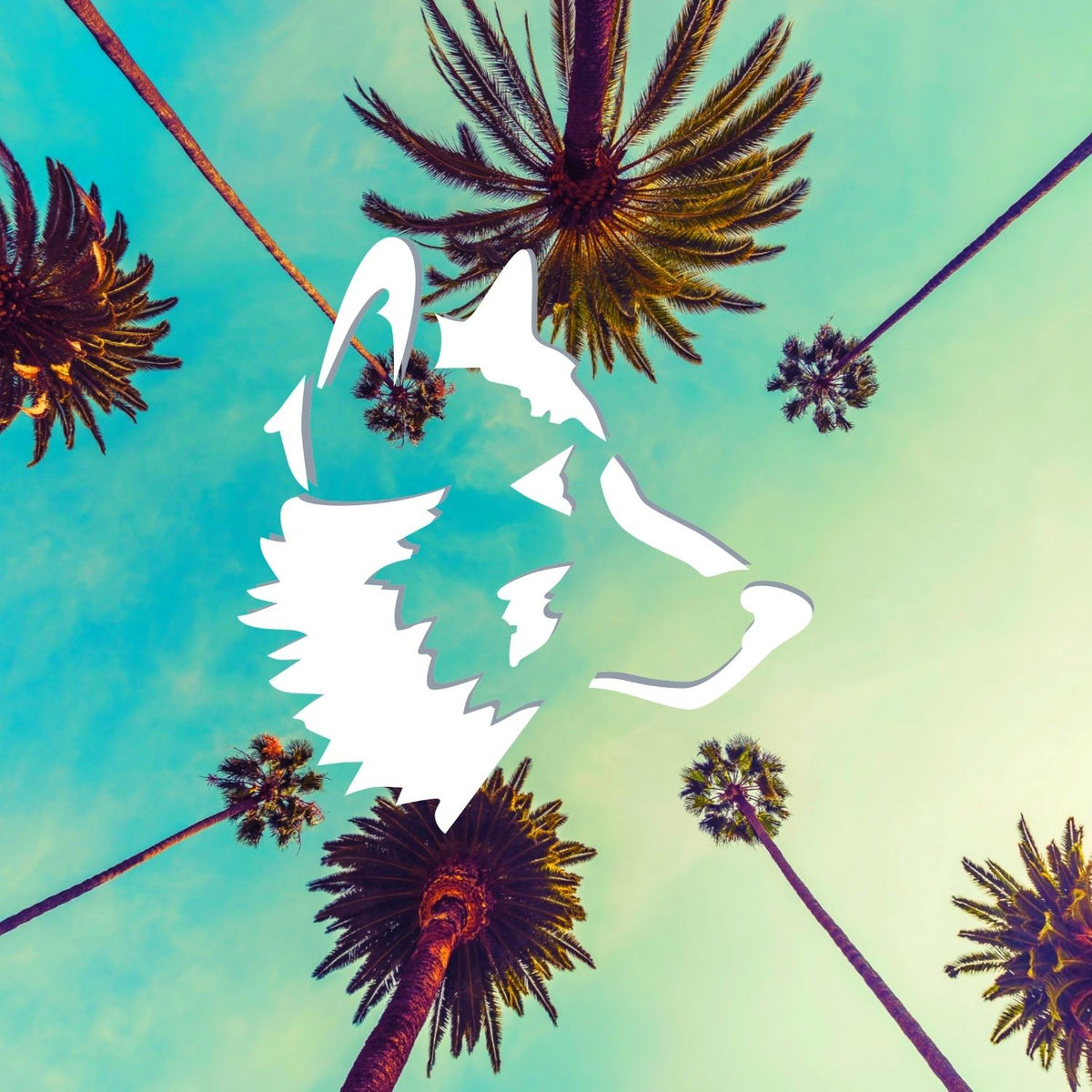 Artist picture of Tundra Beats