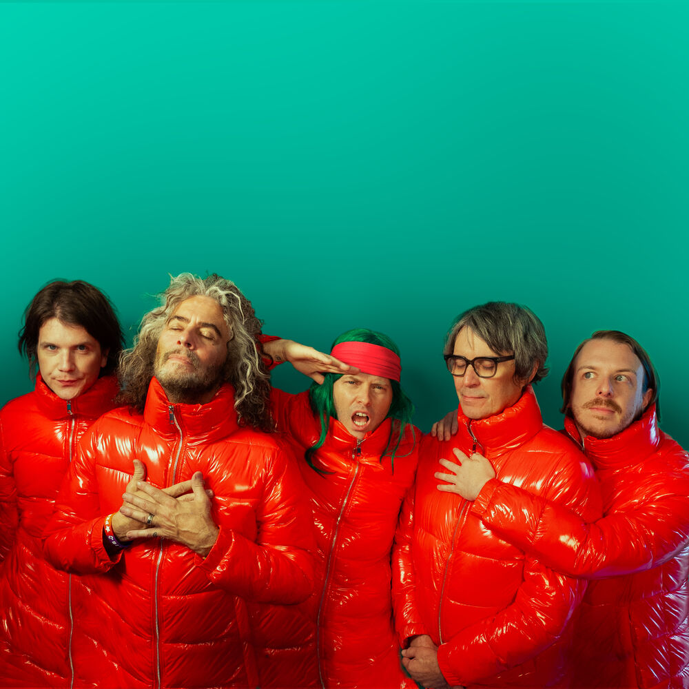 Picture of The Flaming Lips