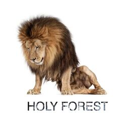 Picture of Holy Forest