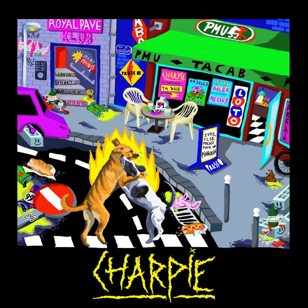 Photo de l'artiste Charpie