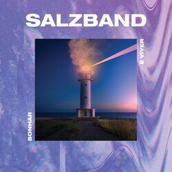 Picture of Salz Band