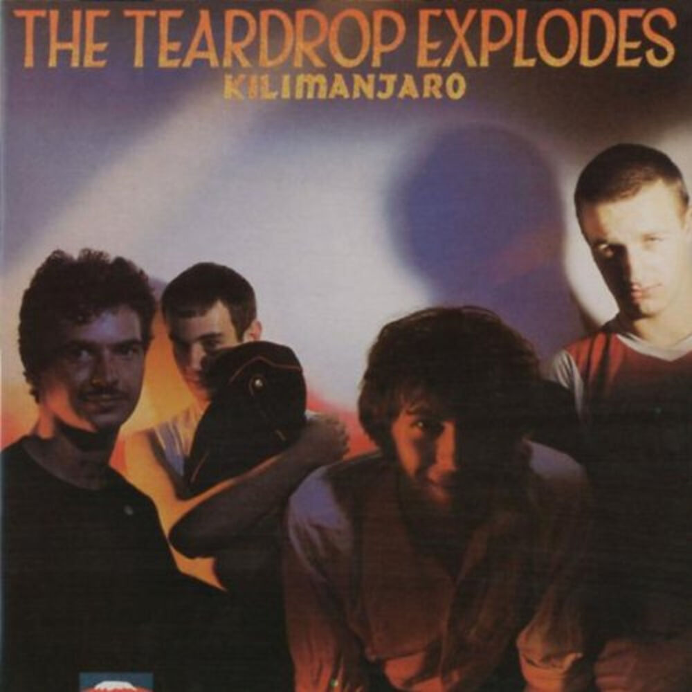 Picture of The Teardrop Explodes