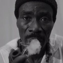 Picture of Souleymane Faye