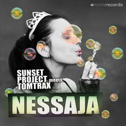 Picture of Sunset Project