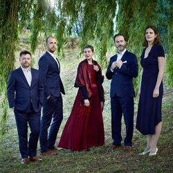 Picture of Ensemble Perspectives