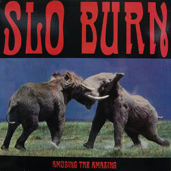 Picture of Slo Burn