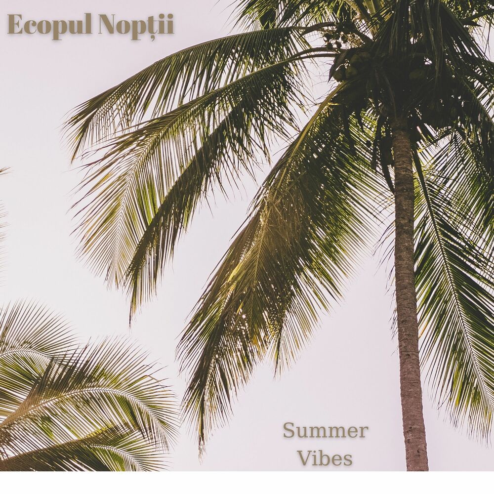 Picture of Ecoul Nopții