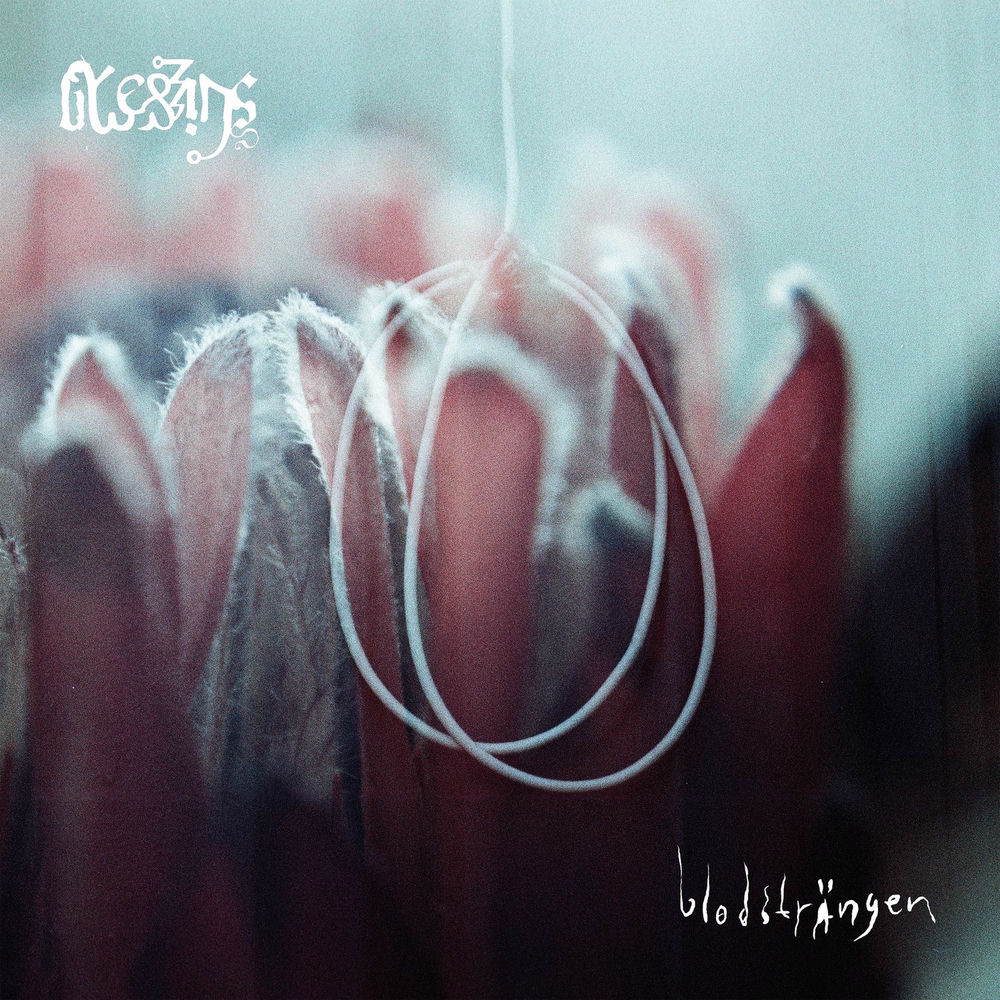 Photo de l'artiste Blessings