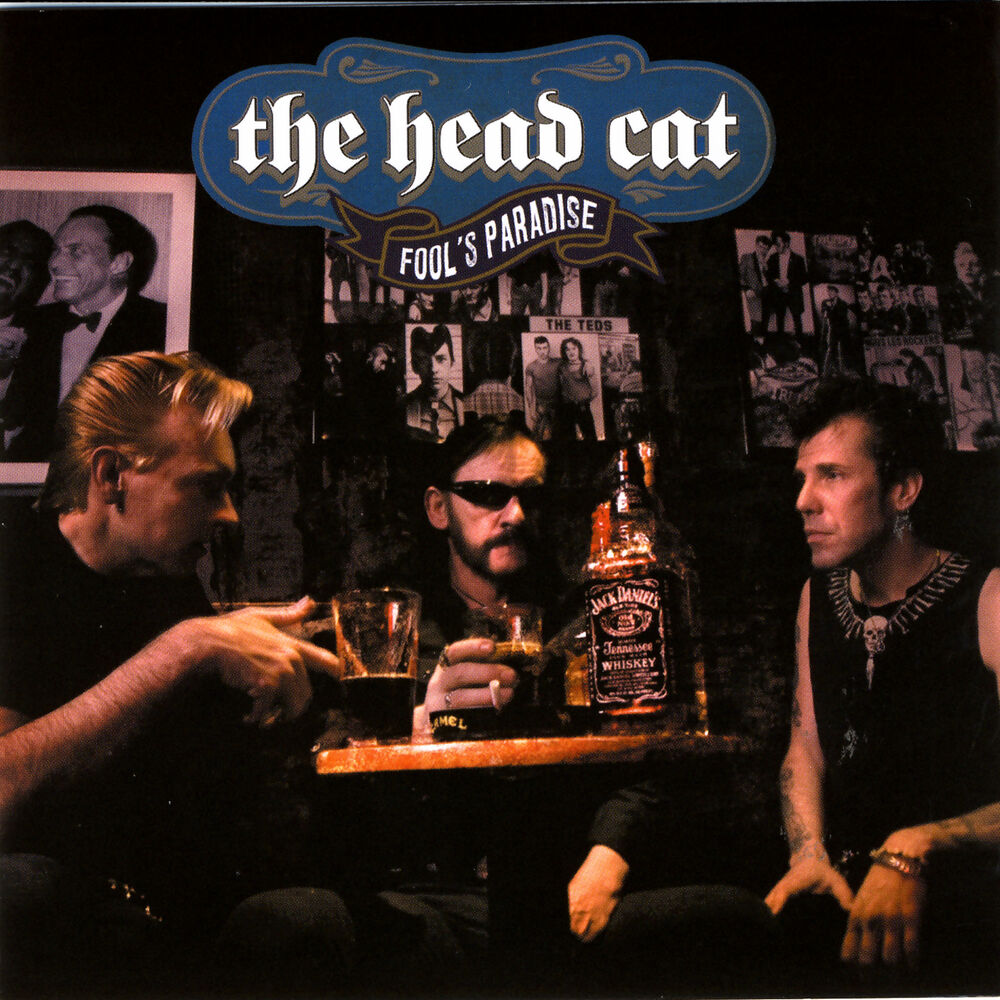 Picture of The Head Cat