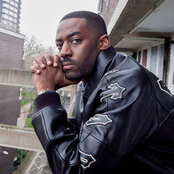 Picture of Bashy