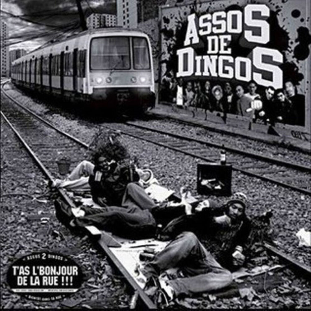 Picture of Assos De Dingos