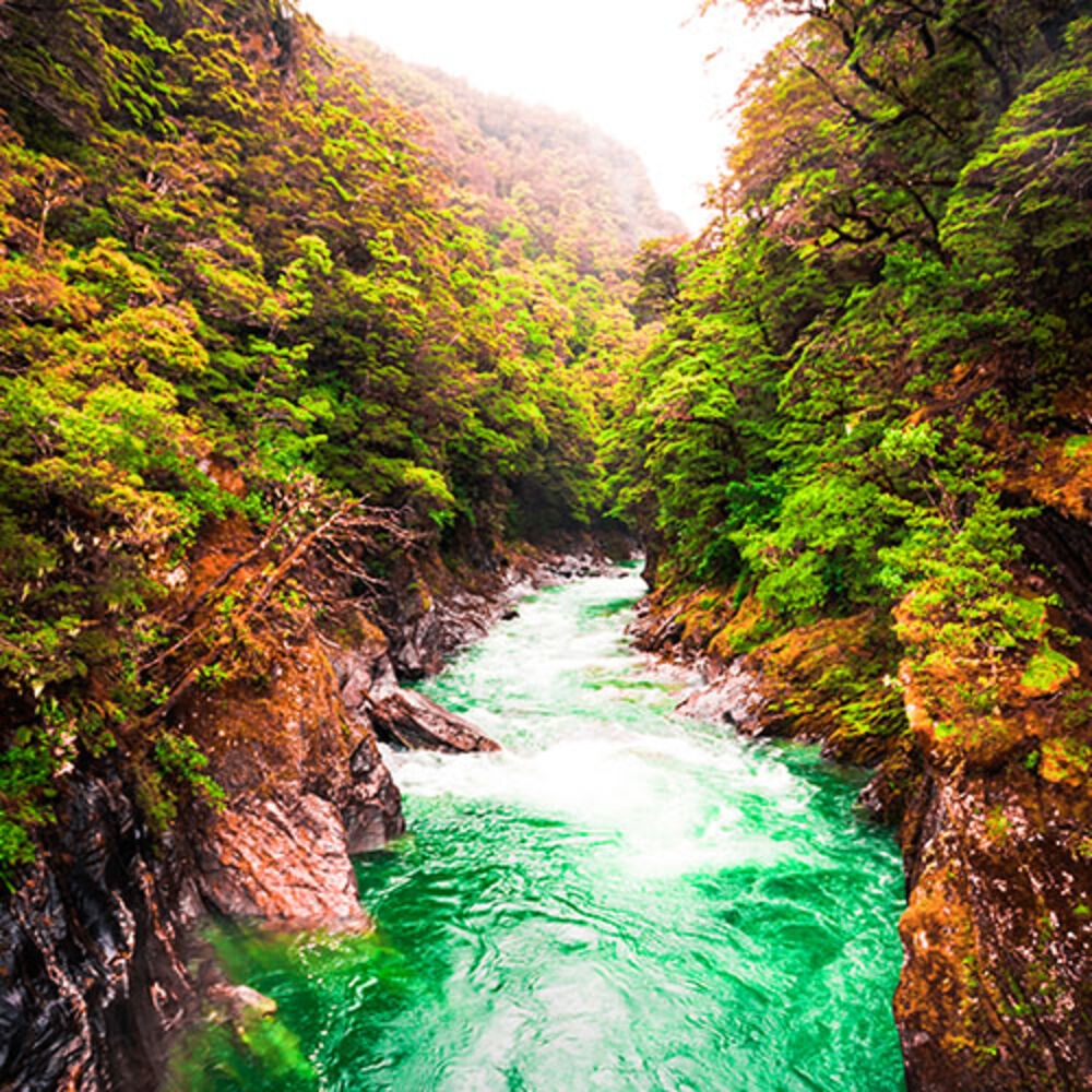 Picture of Nature Sounds Nature Music