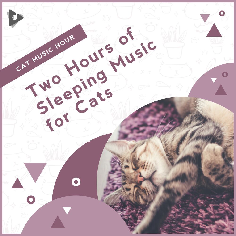 Picture of Kitten Music