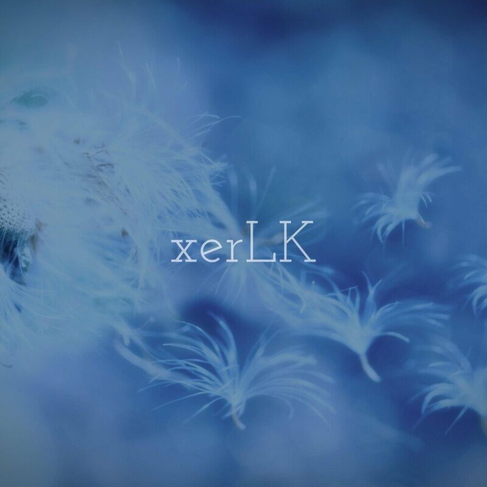 Picture of xerLK