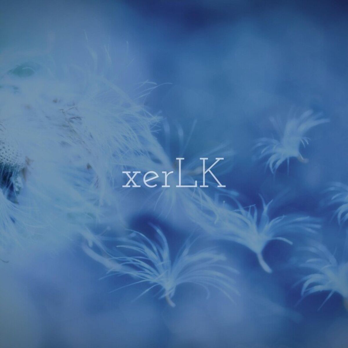 xerLK