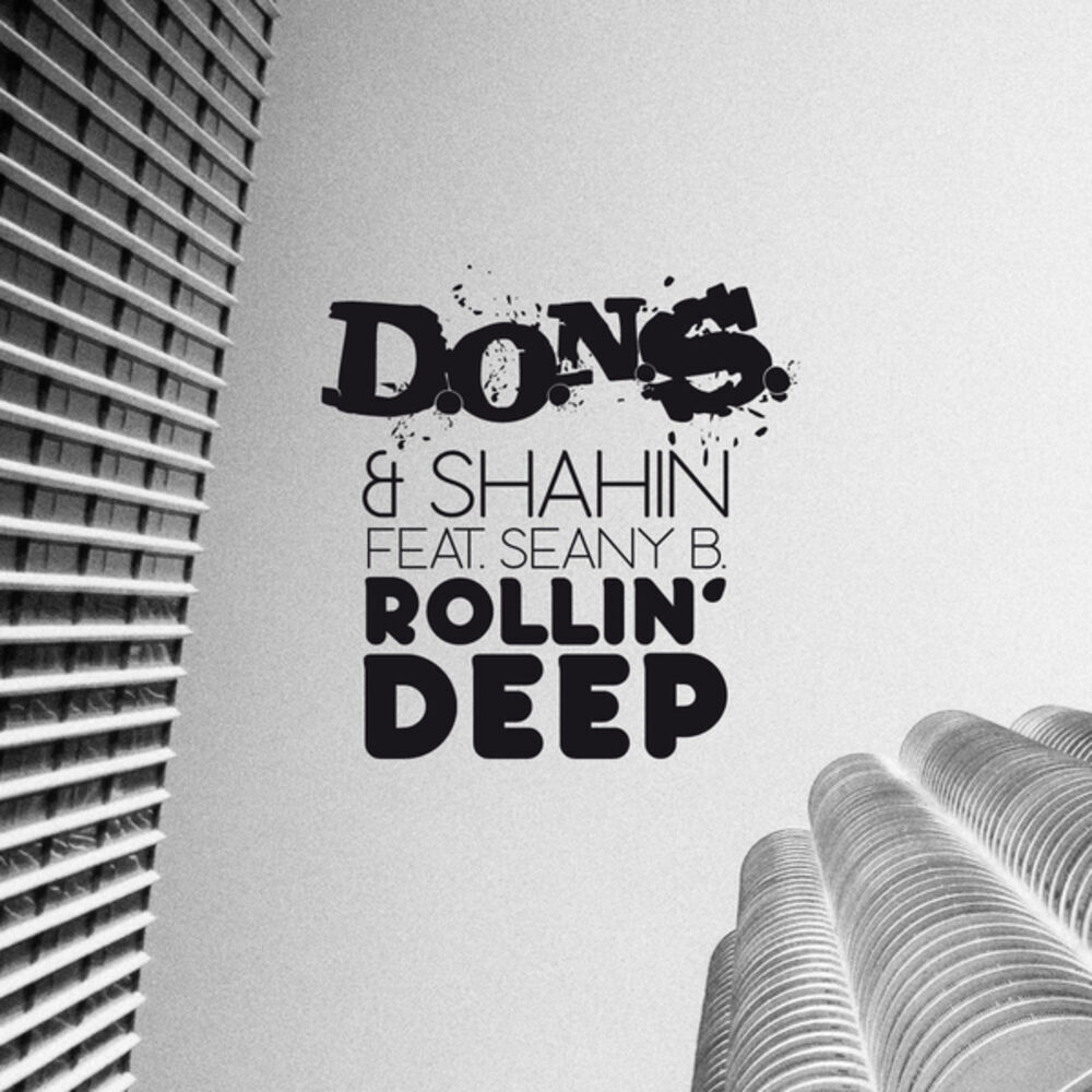 Picture of D.O.N.S. & Shahin Moshirian feat. Seany B.