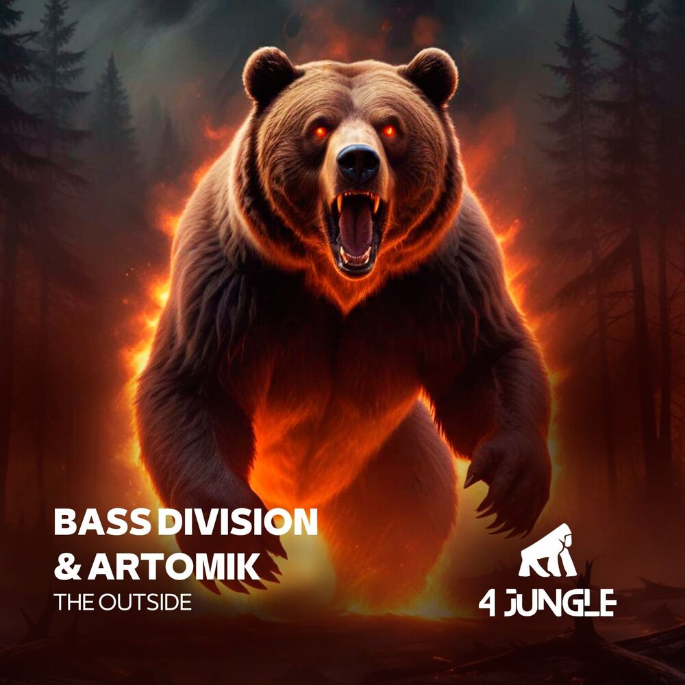 Picture of Bass Division