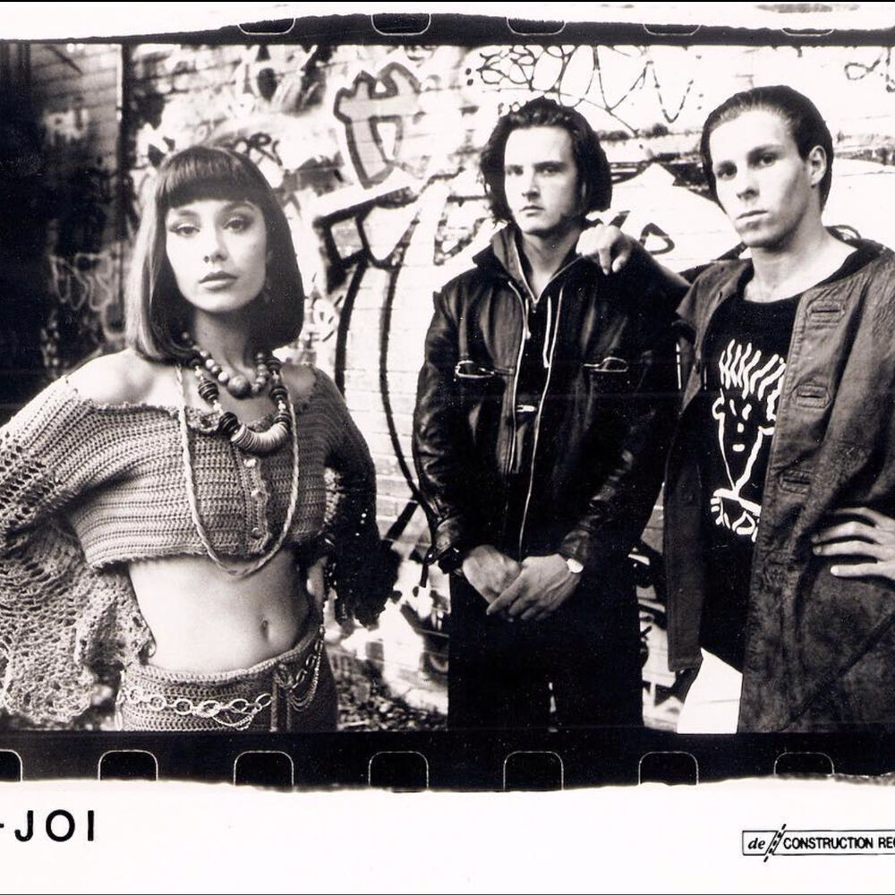 Picture of N-Joi