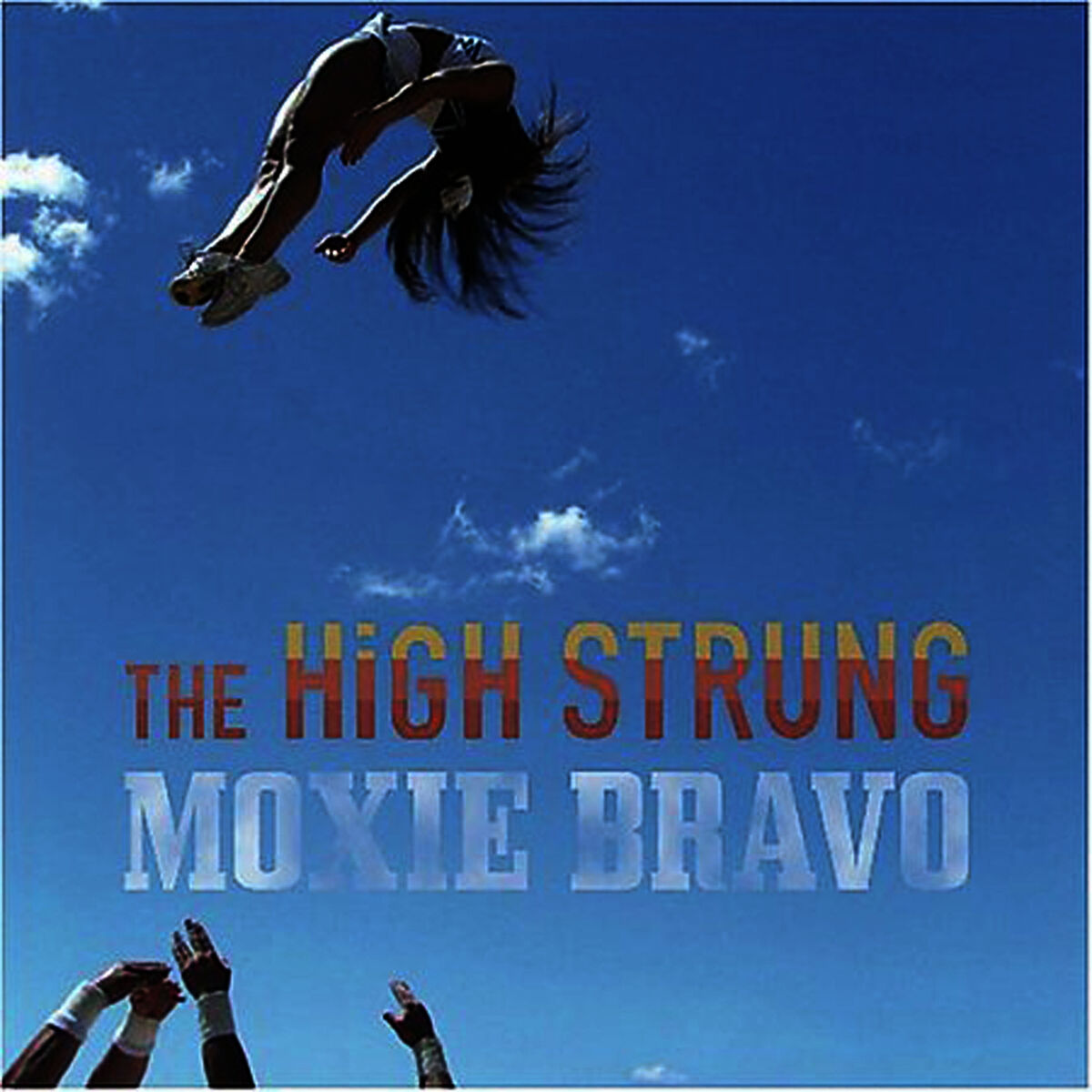 Artist picture of The High Strung