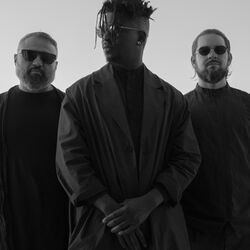 Picture of Animals as Leaders