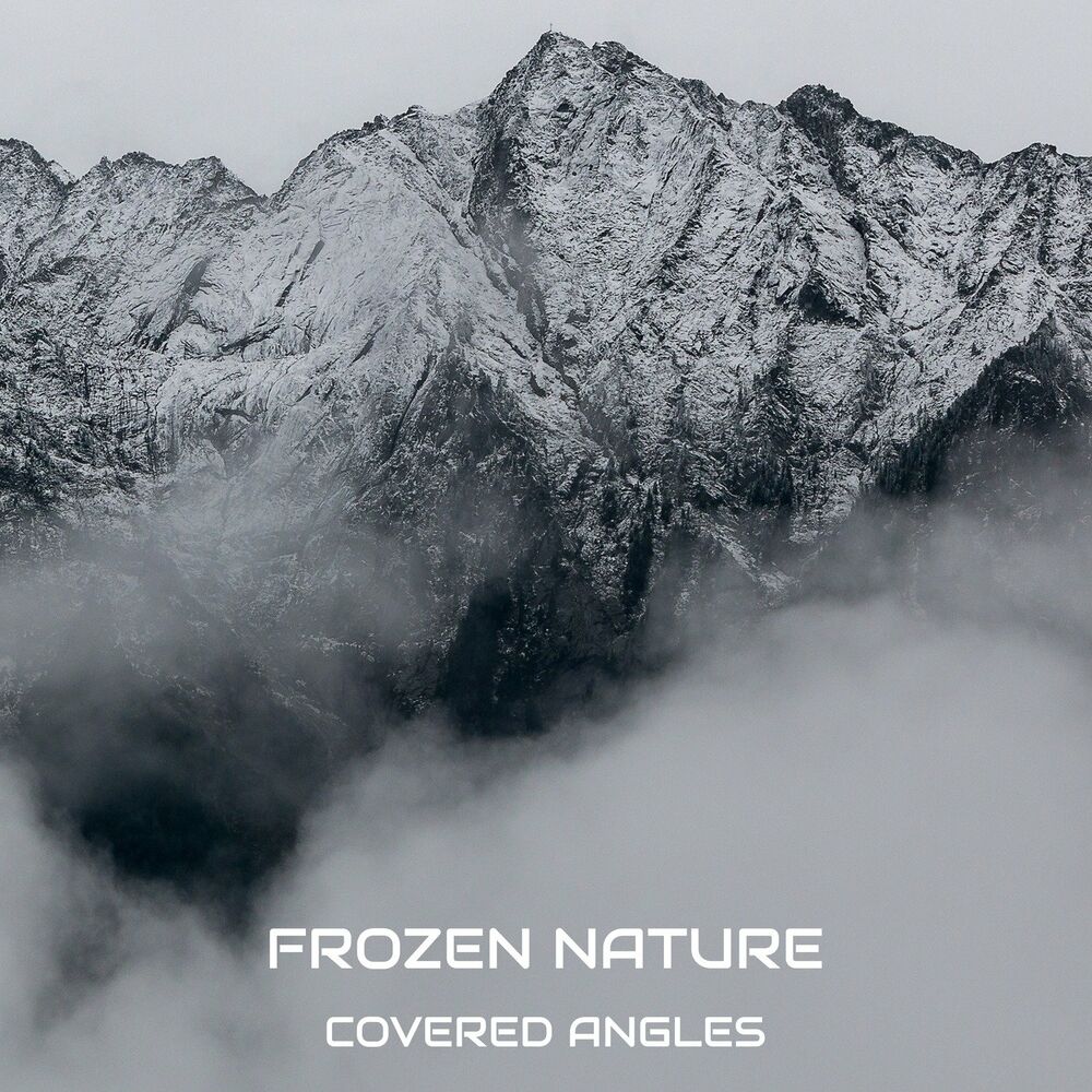 Picture of Frozen Nature