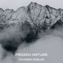 Picture of Frozen Nature