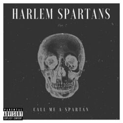 Picture of Harlem Spartans