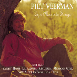 Picture of Piet Veerman