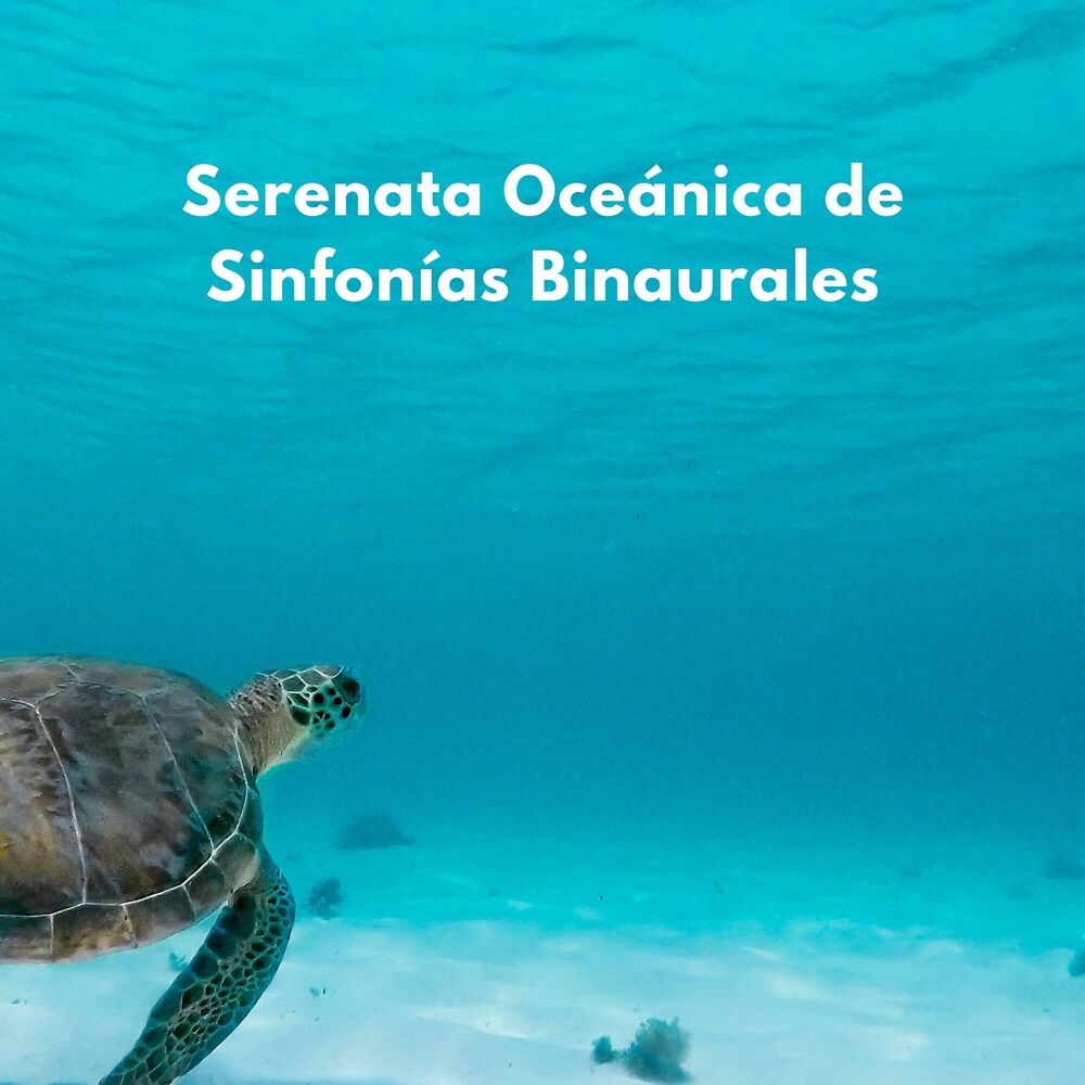 Picture of Océano en HD