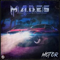 Picture of M.A.D.E.S