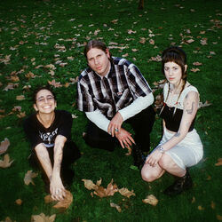 Picture of Sour Widows