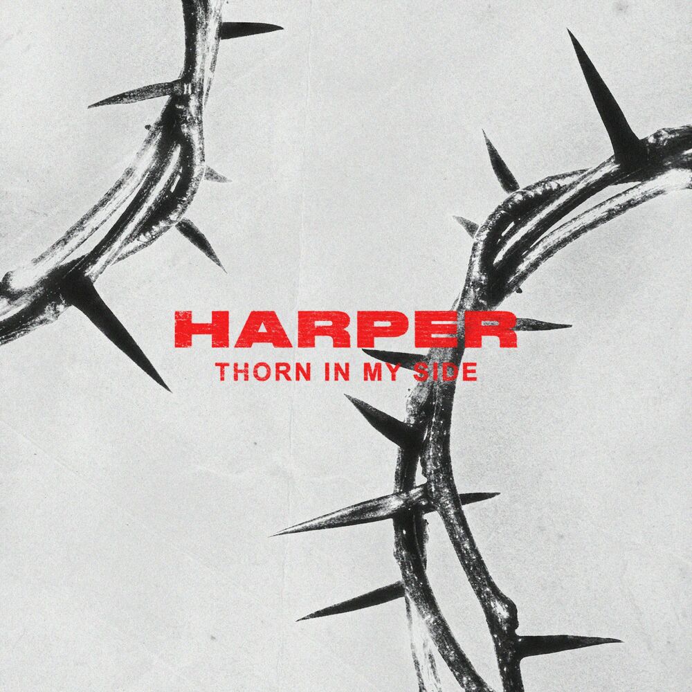 Picture of Harper