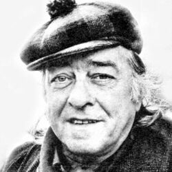 Picture of Vinicius de Moraes