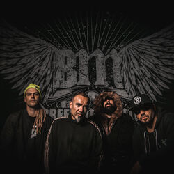 Picture of Breed Machine