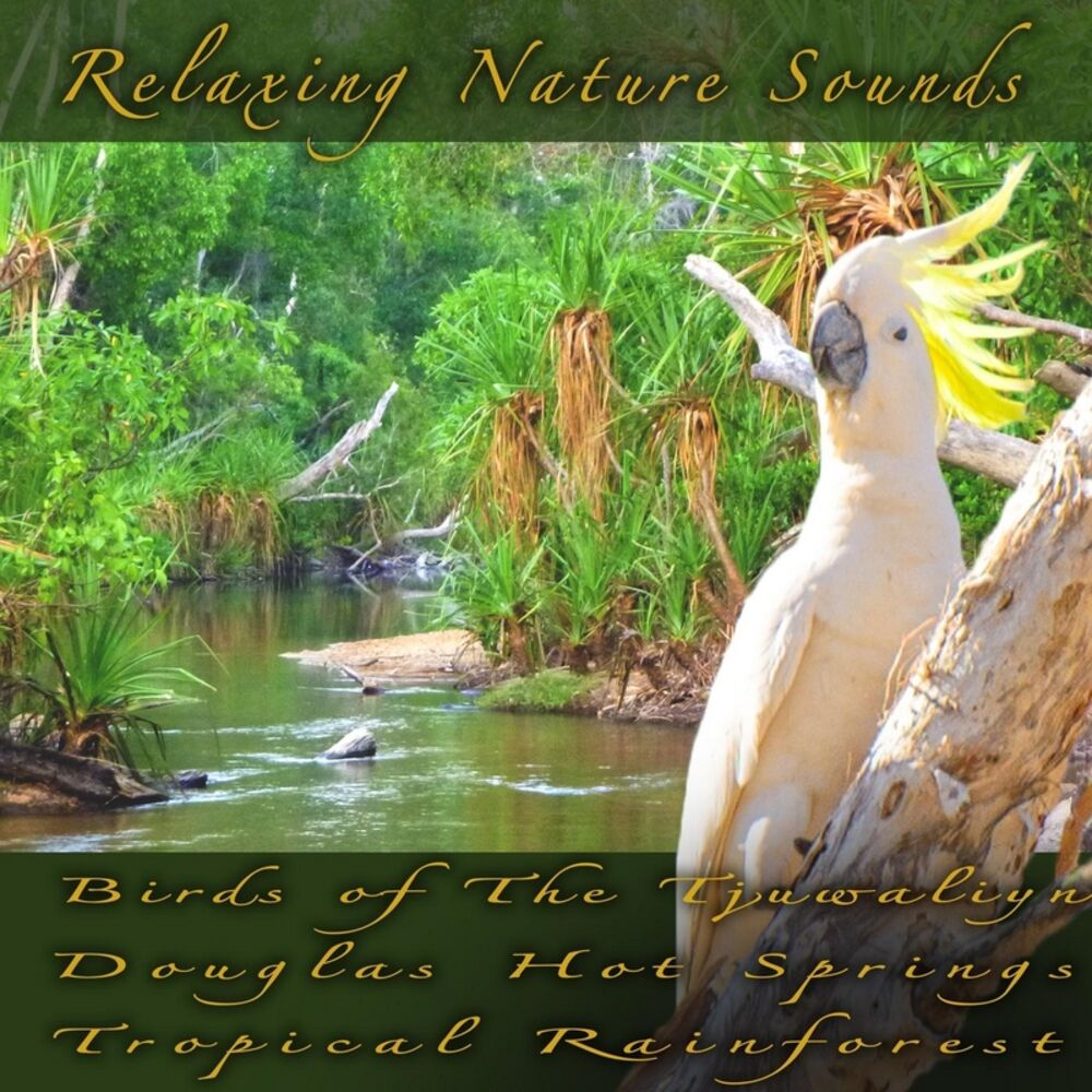 Picture of Relaxing Nature Sounds