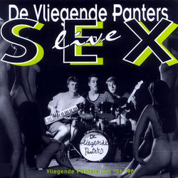 Picture of De Vliegende Panters