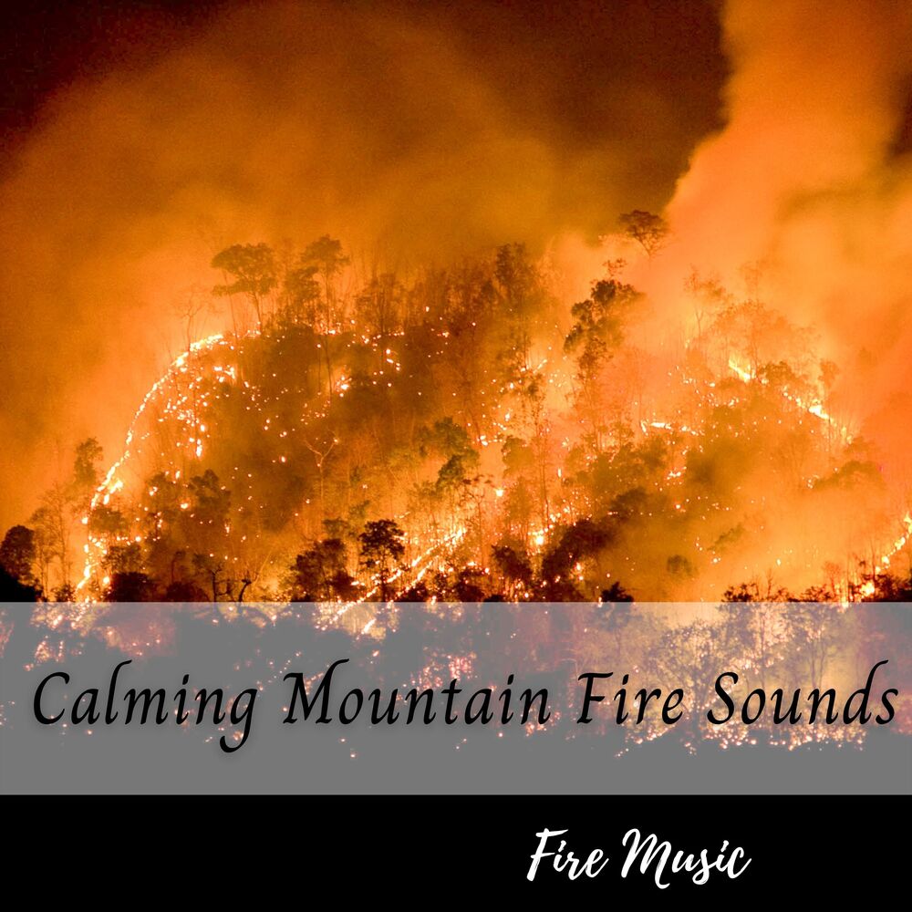 Picture of The Calm Music Network