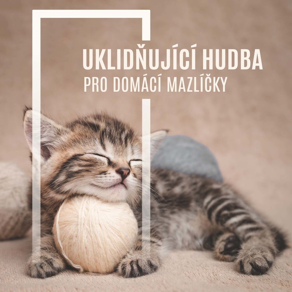 Picture of Relaxační Zvuky