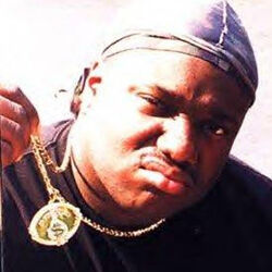 Picture of Guce