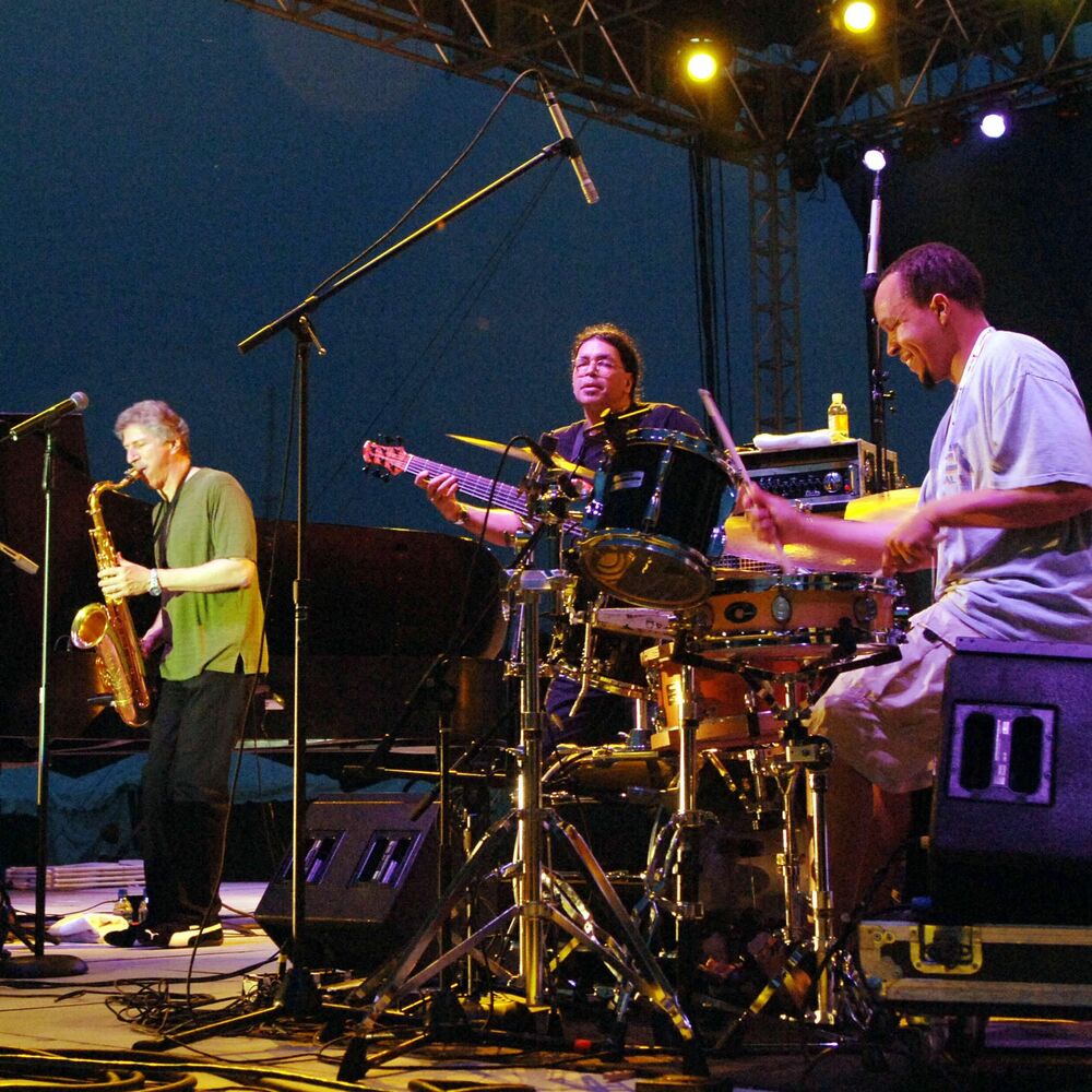 Picture of Yellowjackets