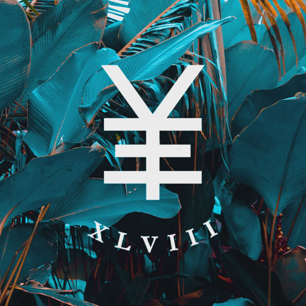 Picture of Y.V.E. 48