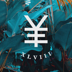Picture of Y.V.E. 48