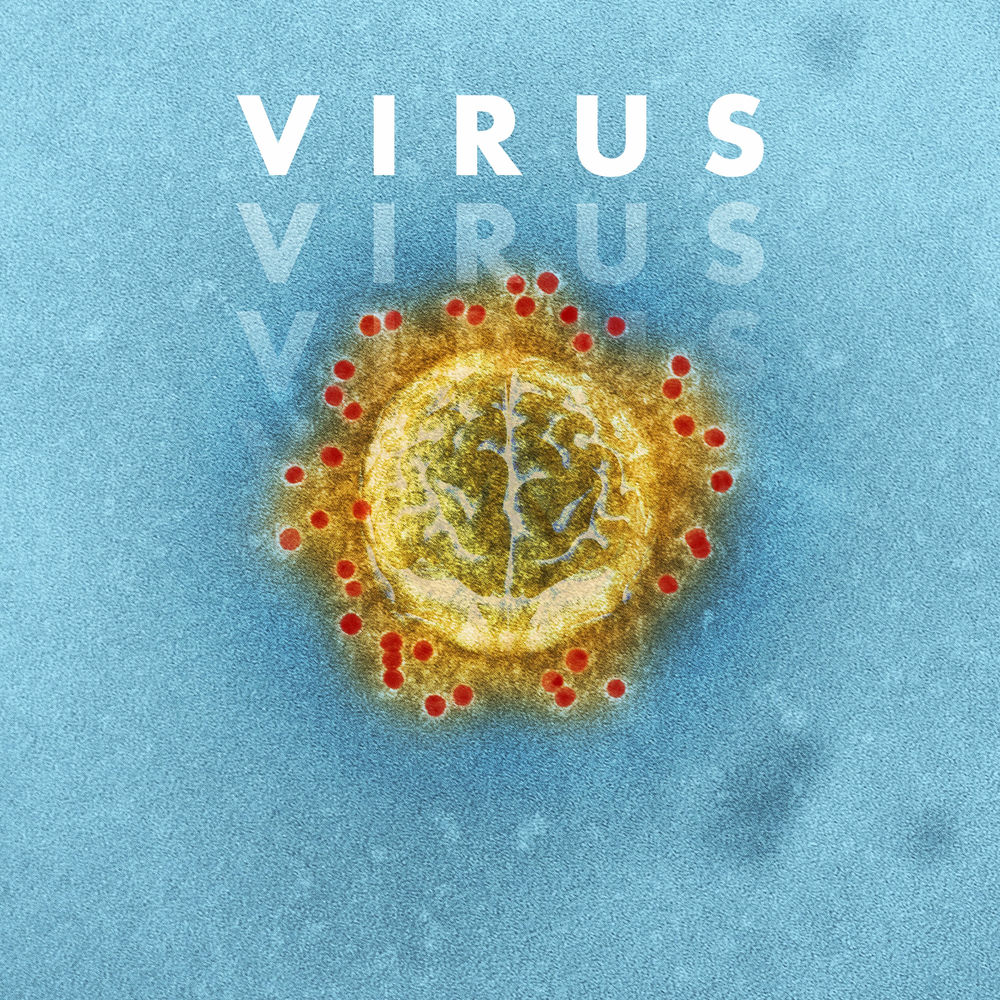 Photo de l'artiste Santrax